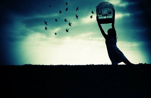 A girl freeing birds from cage